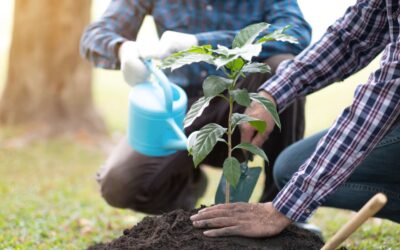 Gardening Posture Back Pain: 7 Tips to Prevent Discomfort